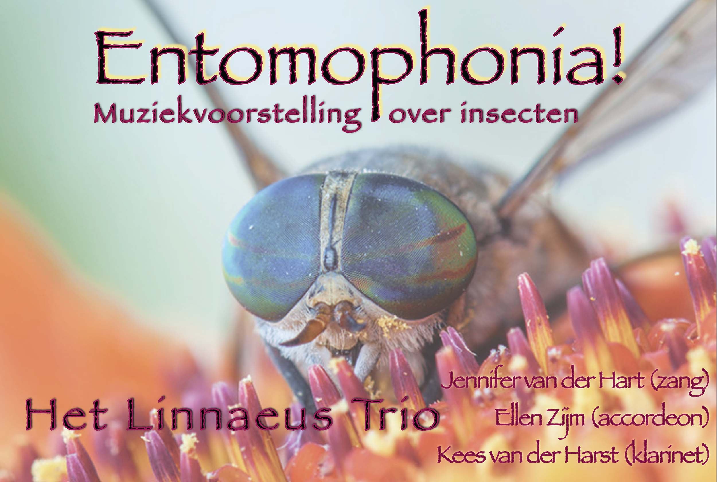 Entomophonia!